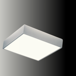 stainless surface mount ceiling lights
