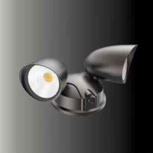 CERPRIS Security Light 30W